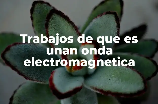 Características esenciales de las ondas electromagnéticas