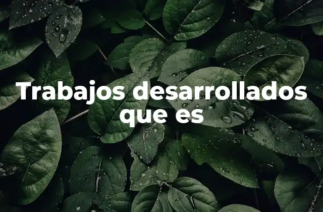 La importancia de documentar los trabajos desarrollados