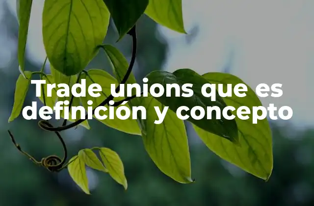 Trade Unions que es Definición y Concepto