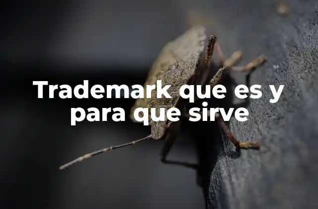 Trademark que es y para que Sirve