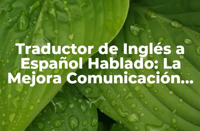 Traductor de Inglés a Español Hablado: la Mejora Comunicación Intercultural
