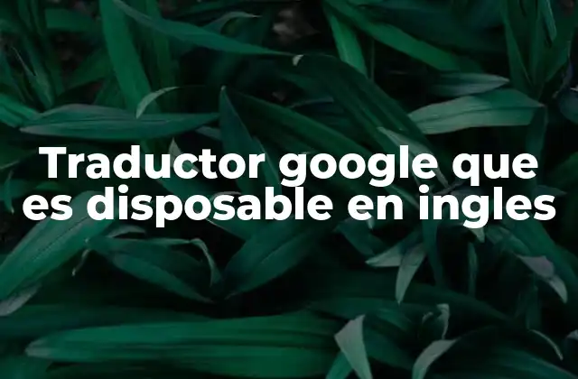 Traductor Google que es Disposable en Ingles
