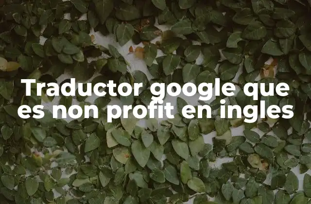Traductor Google que es Non Profit en Ingles