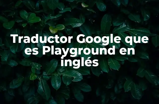 Traductor Google que es Playground en Inglés