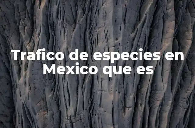 Trafico de Especies en Mexico que es