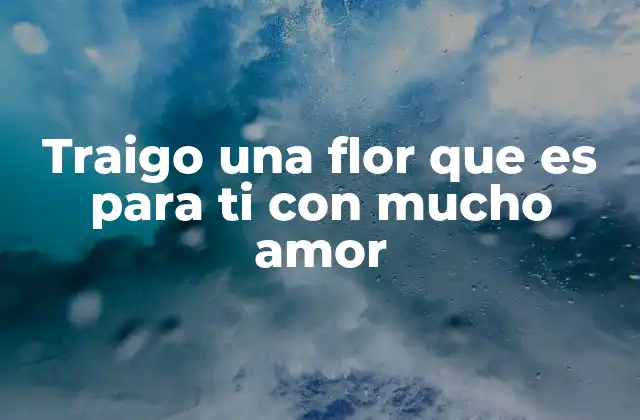 Traigo una Flor que es para Ti con Mucho Amor