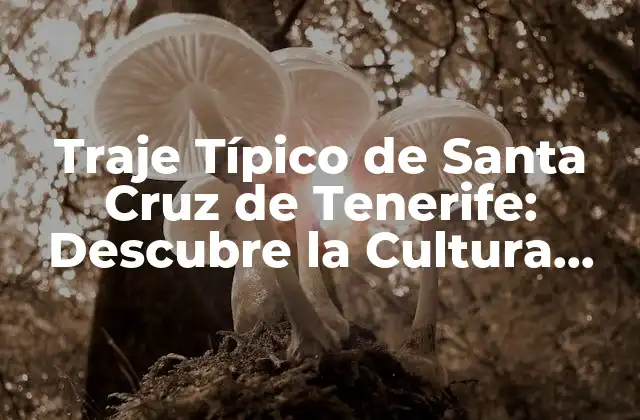 Traje Típico de Santa Cruz de Tenerife: Descubre la Cultura Canaria