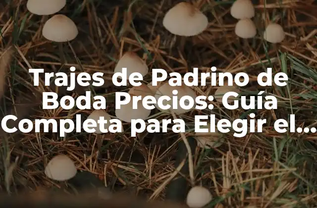 Trajes de Padrino de Boda Precios: Guía Completa para Elegir el Mejor