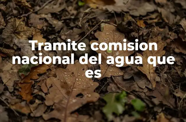 Tramite Comision Nacional Del Agua que es