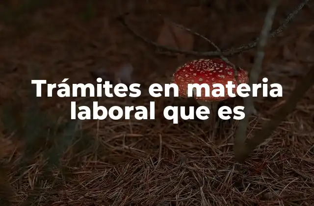 Trámites en Materia Laboral que es