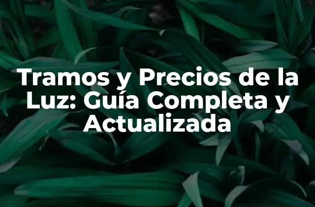 Tramos y Precios de la Luz: Guía Completa y Actualizada