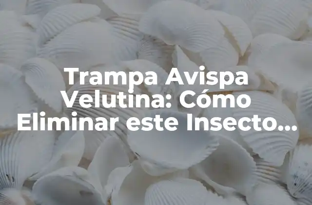 Características y Biología de la Trampa Avispa Velutina