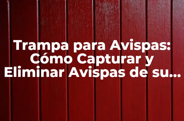 Trampa para Avispas: Cómo Capturar y Eliminar Avispas de Su Jardín