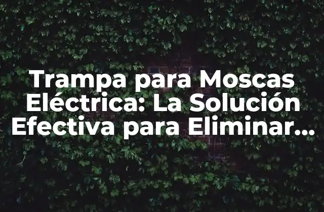 Trampa para Moscas Eléctrica: la Solución Efectiva para Eliminar Moscas