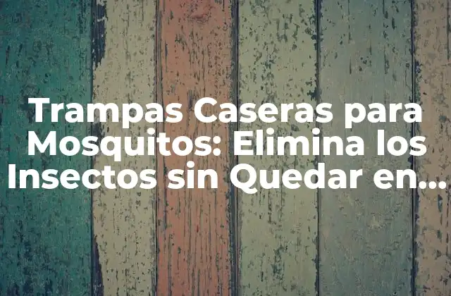 Trampas Caseras para Mosquitos: Elimina los Insectos sin Quedar en Boca de Nadie