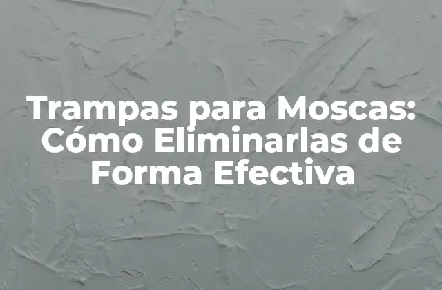 Tipos de Trampas para Moscas