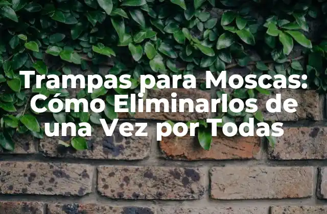 Trampas para Moscas: Cómo Eliminarlos de una Vez por Todas