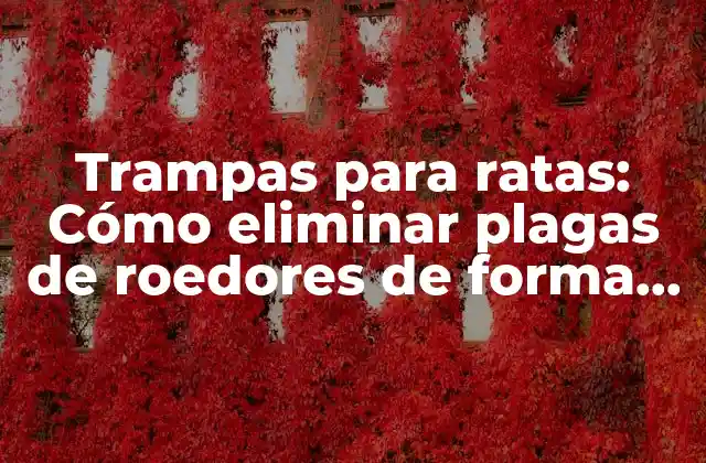 Trampas para Ratas: Cómo Eliminar Plagas de Roedores de Forma Efectiva