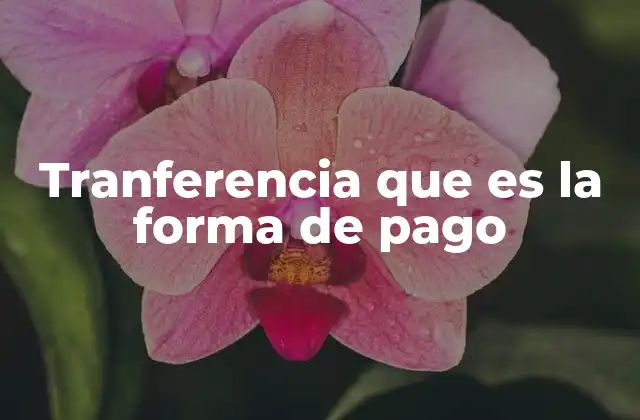 Tranferencia que es la Forma de Pago 2 El papel de la tranferencia en la economía digital