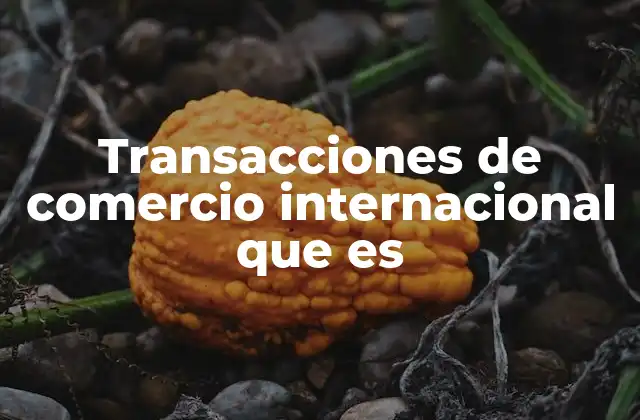 Transacciones de Comercio Internacional que es