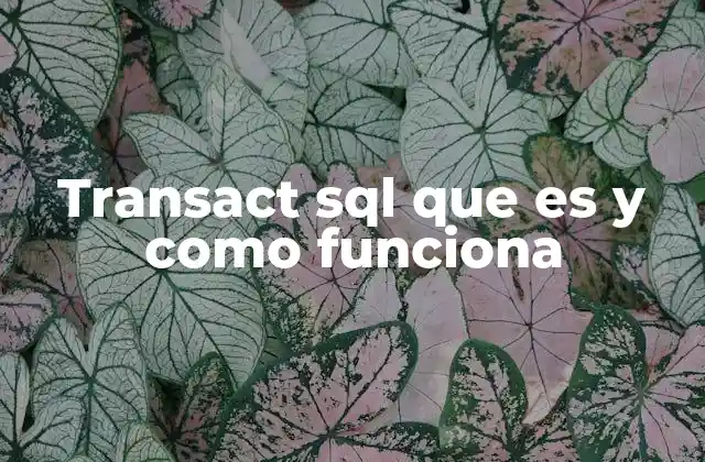 Transact Sql que es y como Funciona