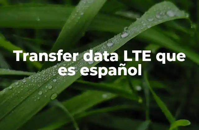 Transfer Data Lte que es Español
