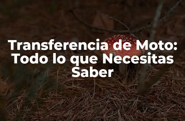 ¿Por qué es Importante la Transferencia de Moto?