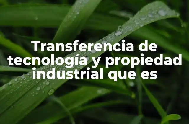 La importancia de la colaboración entre instituciones en el proceso de transferencia tecnológica