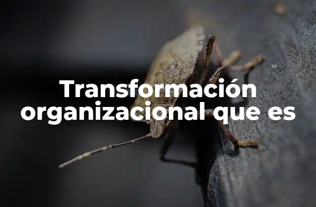 Transformación Organizacional que es