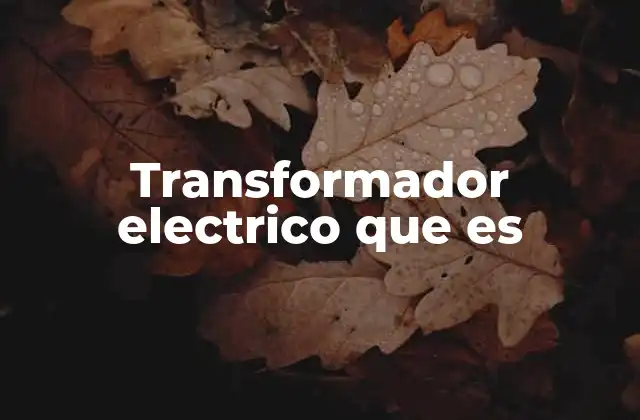 Transformador Electrico que es