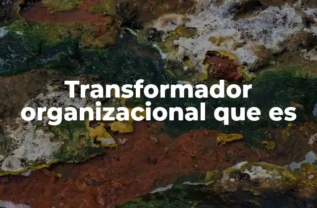 Transformador Organizacional que es