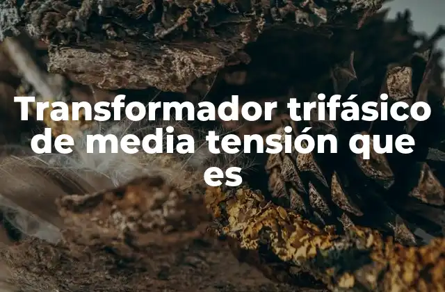 Transformador Trifásico de Media Tensión que es 2 Componentes esenciales de un transformador trifásico de media tensión
