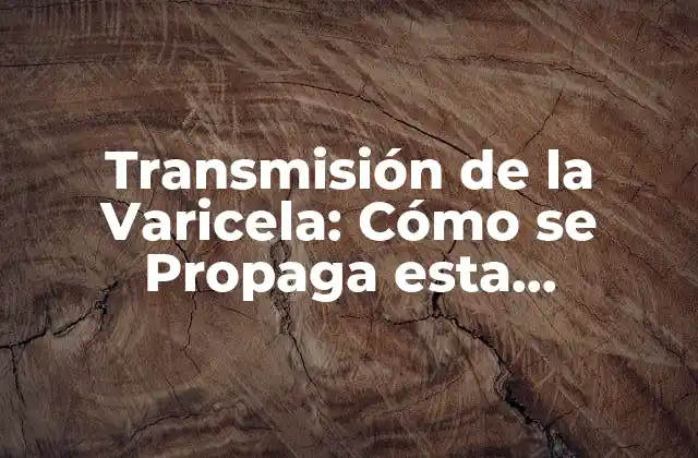 Transmisión de la Varicela: Cómo Se Propaga Esta Enfermedad Viral