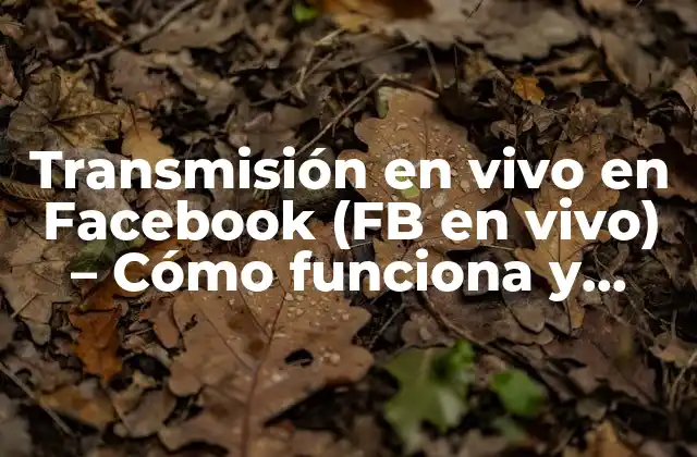 Transmisión en Vivo en Facebook (fb en Vivo) – Cómo Funciona y Beneficios