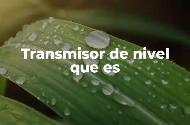 Transmisor de Nivel que es