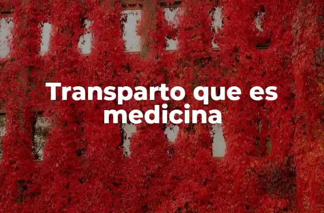 Transparto que es Medicina 2 El transparto como proceso crítico en la salud materna y neonatal