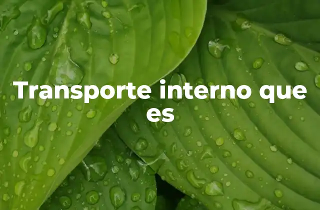 El movimiento interno en contextos no convencionales