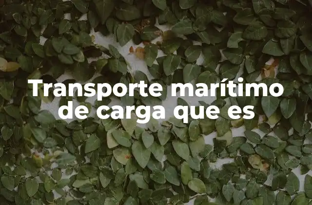Transporte Marítimo de Carga que es