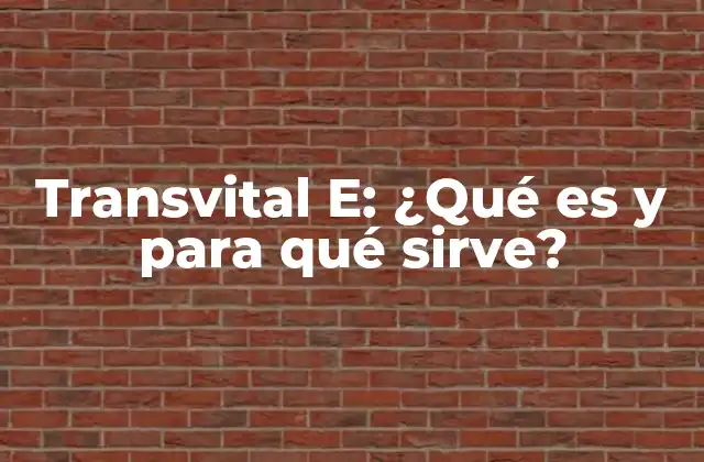 Transvital E: ¿qué es y para Qué Sirve?