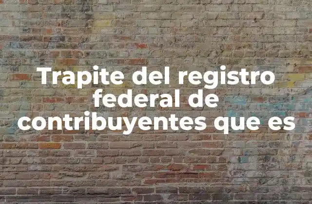 Trapite Del Registro Federal de Contribuyentes que es