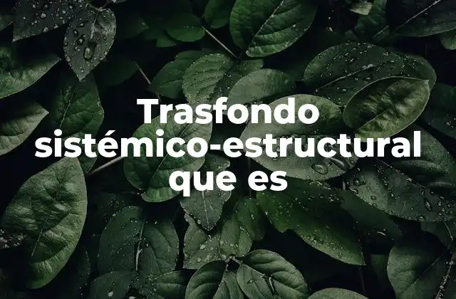 Trasfondo Sistémico-estructural que es