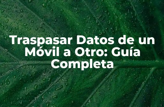 Traspasar Datos de un Móvil a Otro: Guía Completa