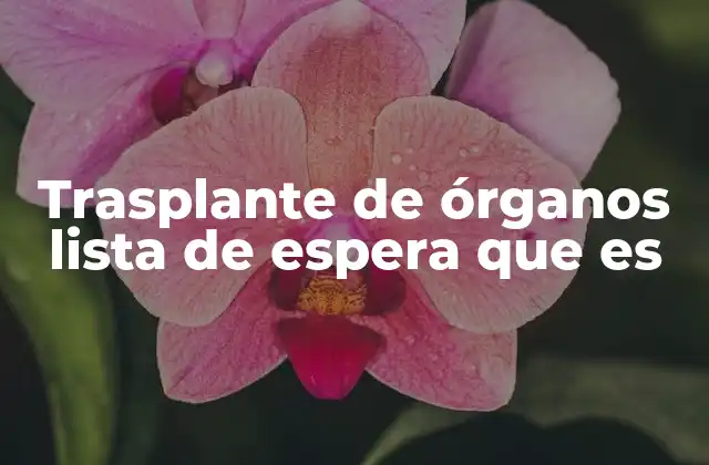 Trasplante de Órganos Lista de Espera que es