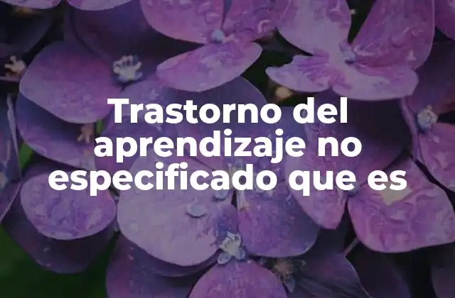 Dificultades en el aprendizaje sin un diagnóstico específico
