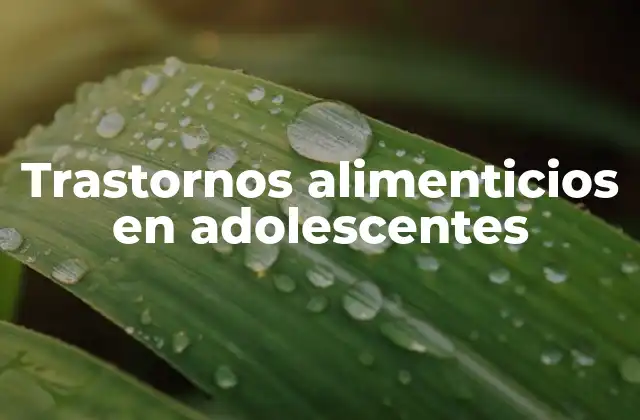 Trastornos Alimenticios en Adolescentes 2 Factores que influyen en la salud alimentaria de los adolescentes