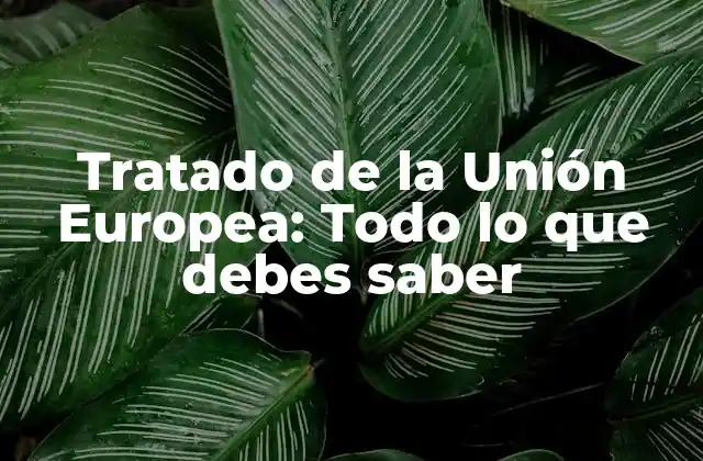 Antecedentes del Tratado de la Unión Europea