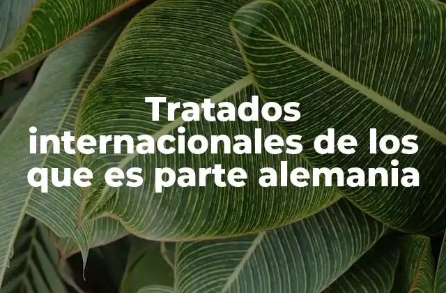 Tratados Internacionales de los que es Parte Alemania