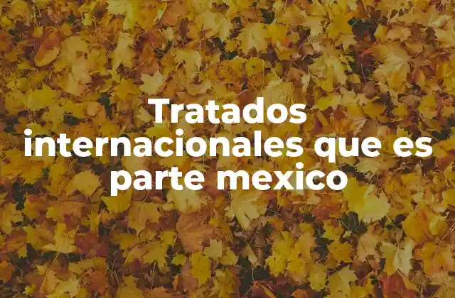 Tratados Internacionales que es Parte Mexico