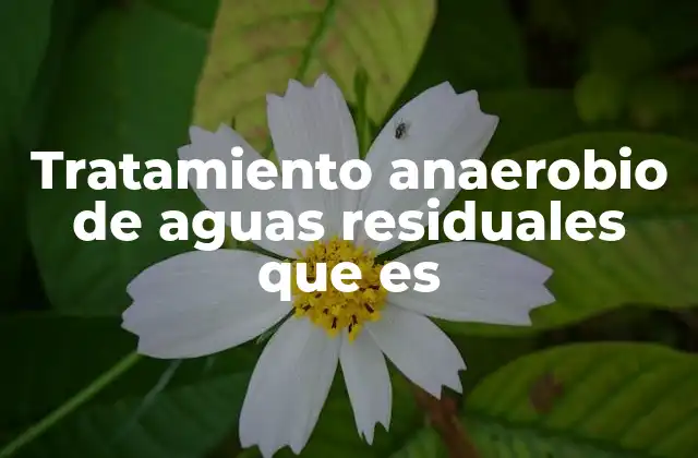 Tratamiento Anaerobio de Aguas Residuales que es