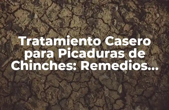 Tratamiento Casero para Picaduras de Chinches: Remedios Naturales y Efectivos